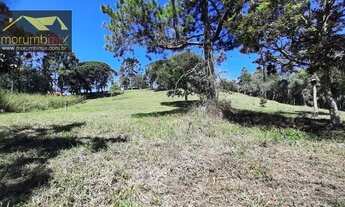 Imagem 4: Chácara com 3 dormitórios à venda, 78000 m² por R$ 495.000,00 - Centro - Juquitiba/SP