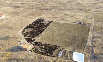 Imagem 6: Vendo roça na Carnaiba do Sertão