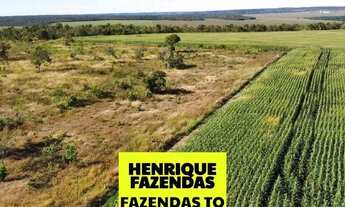 Imagem: Fazenda sentido aparecida ao lado de soja