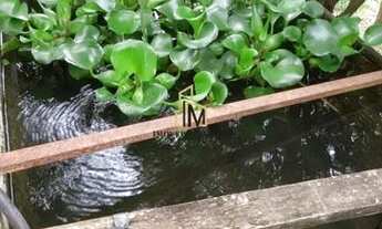 Imagem 2: Fazenda / Sítios / Chácaras com 2 dormitórios à venda em Rio Manso