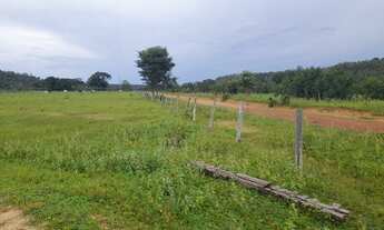 Imagem 2: Oportunidade 921 alqueires em Goiatins-TO