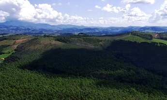 Imagem 3: Fazenda/Sítio/Chácara para venda possui 100000 metros quadrados em Centro - Seritinga - MG