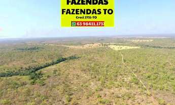 Imagem 6: Fazenda grande dupla aptidão região de Rio Sono Tocantins
