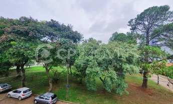 Imagem 4: APARTAMENTO DE 2 QUARTOS NO BAIRRO VILA IPIRANGA