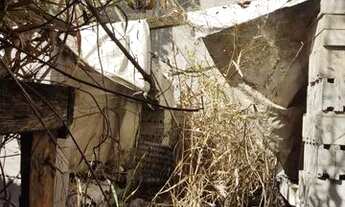 Imagem 2: Casa em Santíssimo