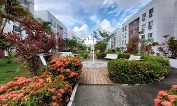 Imagem 4: Apartamento para aluguel, 3 quartos, 1 vaga, Iputinga - Recife/PE