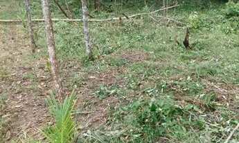 Imagem 2: Terreno Benevides 50× por 100×