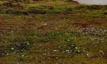 Imagem 2: Terreno à Venda Alphaville II