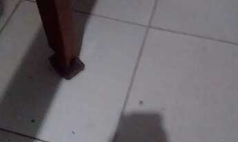 Imagem: Alugel residencial