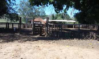 Imagem 5: Fazenda para Venda em Centro Paranaíba-MS - 3097