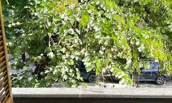 Imagem 2: Jardim Lusitânia com o Parque em seu Quintal - R$5.000.000