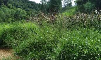 Imagem 3: Terreno perfeito para sua chácara em Mairique no bairro das moreiras