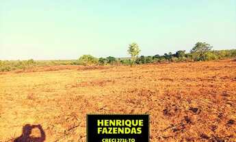 Imagem 2: Fazenda dupla aptidão aberta região de Rio Sono Tocantins