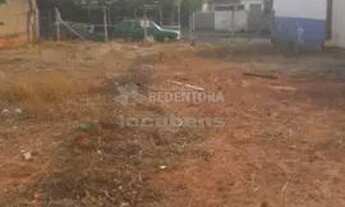 Imagem 2: Comercial Casa Comercial em São José do Rio Preto