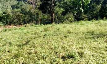 Imagem 6: Terreno com baixadão na Barreira, a 20 minutos de Visconde de Mauá, com escritura e regist