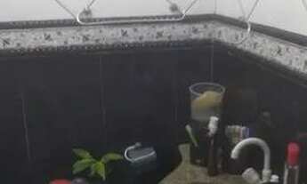 Imagem 2: Alugo casa no telégrafo!