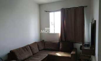 Imagem 2: Apartamento para locação Bairro Maravilha