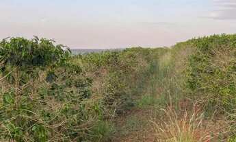 Imagem 7: VENDA Fazenda / sítio com venda por R$2.000.000