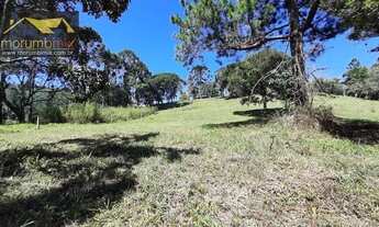 Imagem 5: Chácara com 3 dormitórios à venda, 78000 m² por R$ 495.000,00 - Centro - Juquitiba/SP