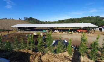 Imagem 6: Chácara Sitio Fazenda na Lapa 8 Alqueires