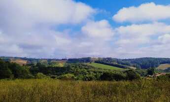 Imagem 3: TERRENO PERFEITO PARA INVESTIR EM IBIÚNA