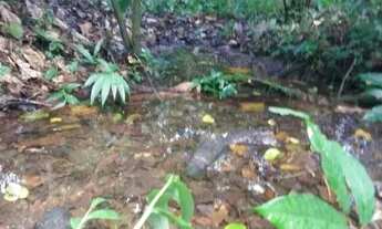 Imagem 6: Área Rural de 4 hectares na BR 101, 27 km de Itabuna e 10 de Uruçuca