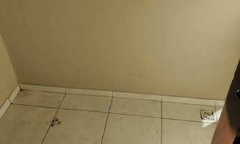 Imagem 6: Alugo Casa Duplex (2 Quartos) C/ Garagem e Quintal em Condomínio na Estrada da Grama - Gua