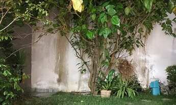 Imagem 7: Leo vende, Novita, Papagaio, 3