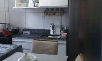 Imagem 4: Kit Samambaia Sul