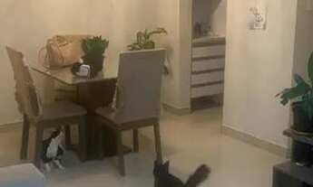 Imagem 2: Vila Vida Plus reformado Conceição