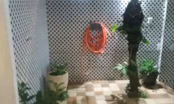 Imagem 4: Vende se casa cm edicula no fundo