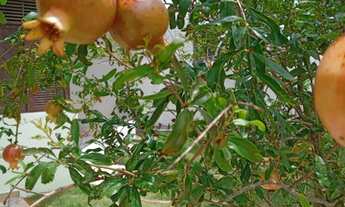 Imagem 3: Vendo casa duplex em Capim Macio