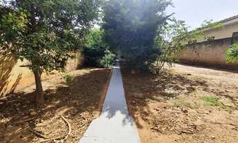 Imagem 4: Casa de fundo com lindo quintal