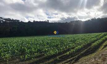 Imagem 7: Terreno à venda por R$ 2.390.000,00 - Centro - Bocaiúva do Sul/PR