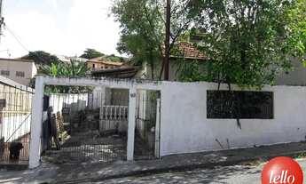 Imagem: São Paulo - Terreno Padrão - Tucuruvi