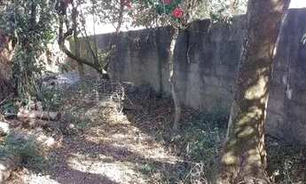 Imagem 3: Chácara Chácara com venda por R$130.000