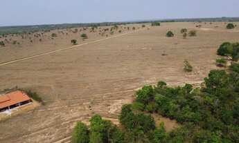 Imagem 7: Fazenda 152 alq em aragarça Goiás beira do asfalto