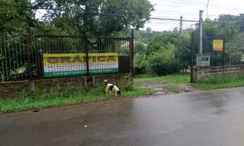 Imagem: Gravataí Sítio Frente Asfaltado - 3200