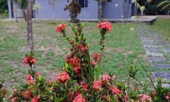 Imagem 2: Sítio para final de semana em Aldeia