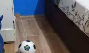 Imagem 7: Vende-se está casa