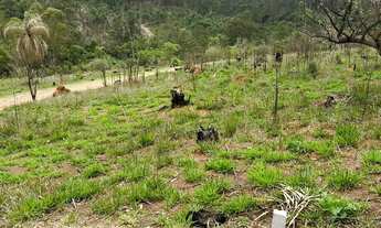 Imagem 5: Localização Imbatível no Bairro Lagoa: Lotes de 600m² a 5km da Estrada Principal