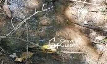 Imagem 2: Chácara com 2 dormitórios à venda, 72600 m² por R$ 650.000,00 - Agrovila Mata de Jerico