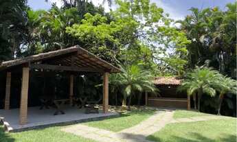 Imagem 7: Vende-se excelente sítio com 8.000 m² em Vargem Grande - RJ