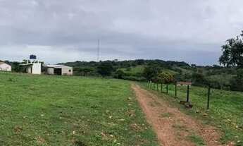 Imagem 4: Fazenda à venda 240 alqueires em Marzagão-Go