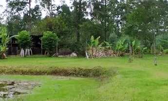 Imagem 7: Chácara, Sapiranga, 8 km asfalto