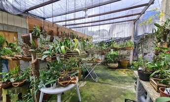 Imagem: Terreno à venda em Butantã, São Paulo