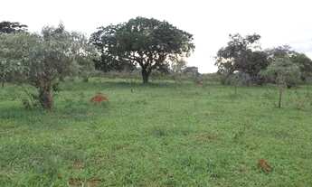 Imagem: Chácara de 20.000 m² toda cercada, com