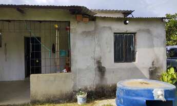 Imagem 6: SÍTIO NO JANAUARI