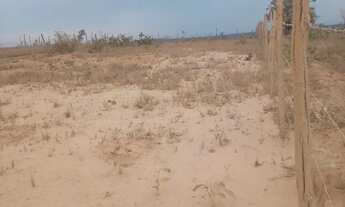 Imagem 3: Vendo lote de 1mil metros quadrados