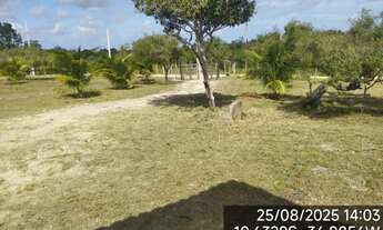 Imagem 6: Sítio Japaratuba - chacara interior - terreno